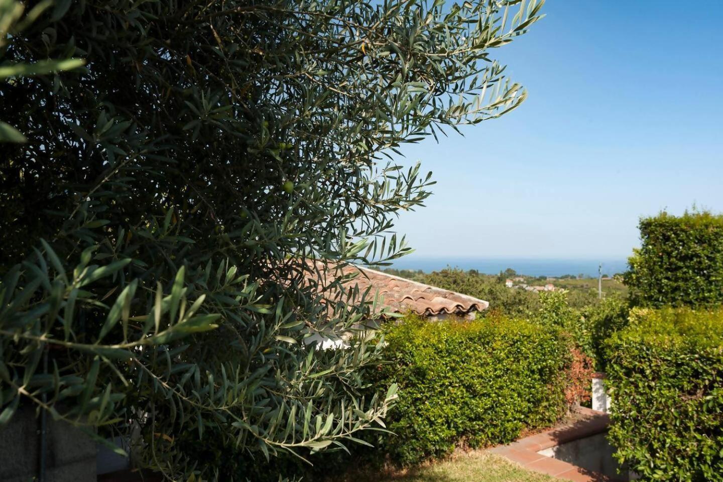 Villa Ginevra Santa Venerina Exterior foto